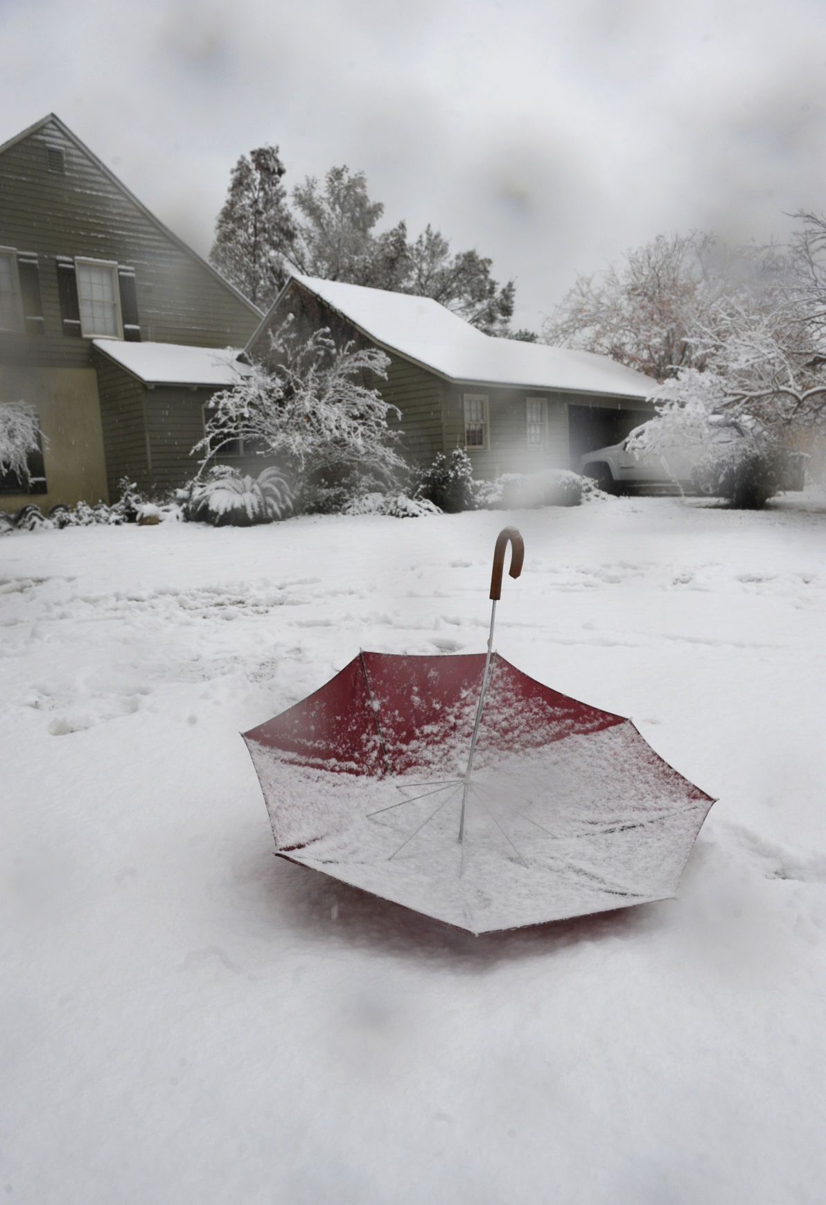 met snowy pd 158.jpg